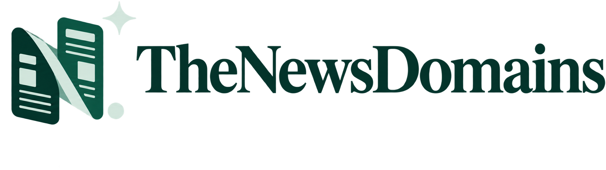 TheNewsDomains logo